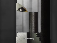 Opdrachtgever gemaakt met zwarte oxide gecoate roestvrij legeringsstaal schacht voor precisie CNC-bewerking